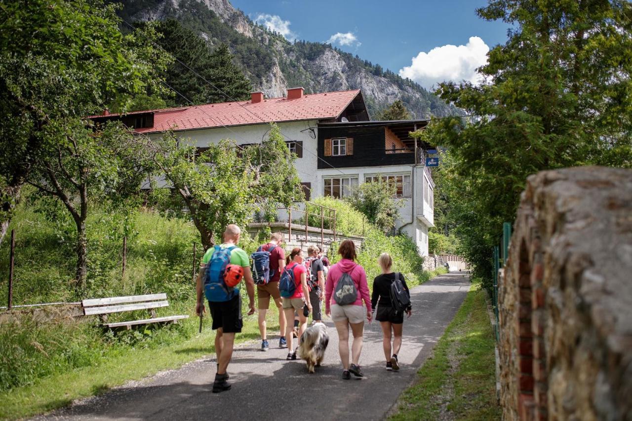 Berghof Seiser Toni Oberhoflein Dış mekan fotoğraf